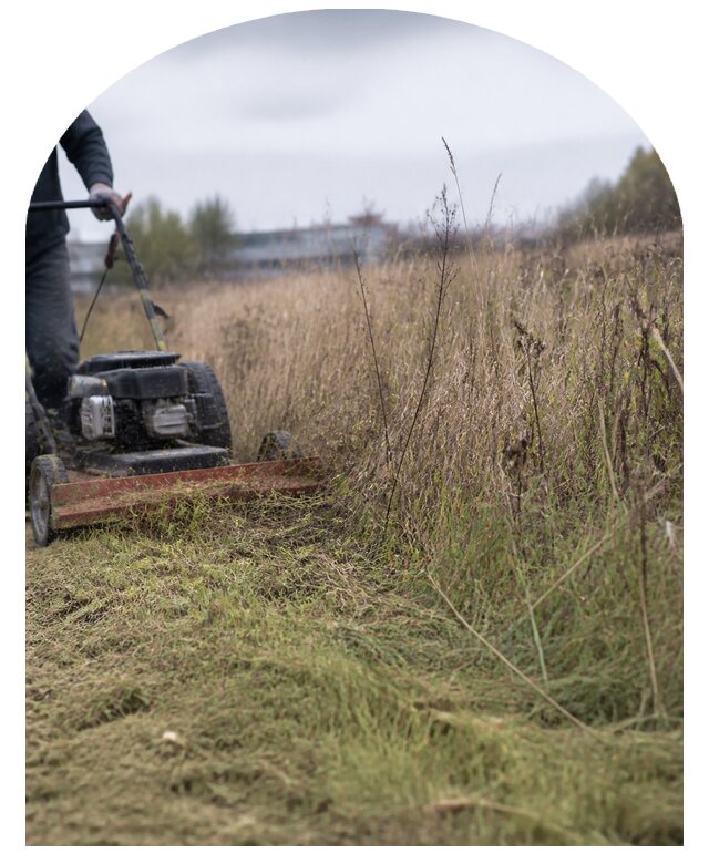 Механизированный покос травы в Таганроге по цене от 4581 р. | Метпроект-Тгн