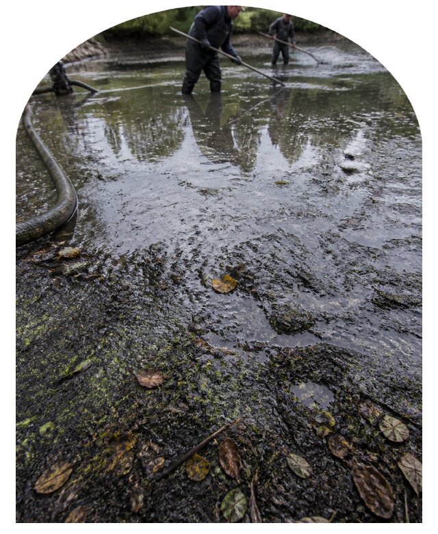 Очистка пруда в Таганроге от ила мусора и водорослей с вывозом
